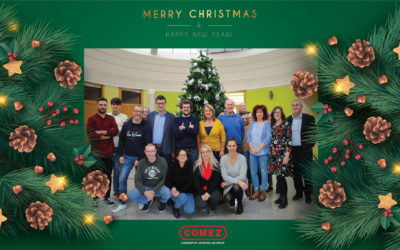 National and company holidays for Christmas