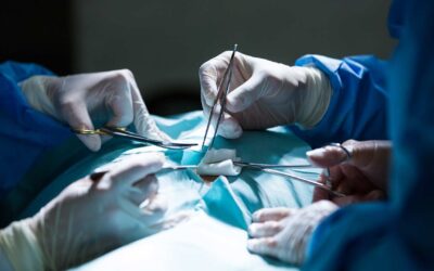 Knitted fabrics for surgery