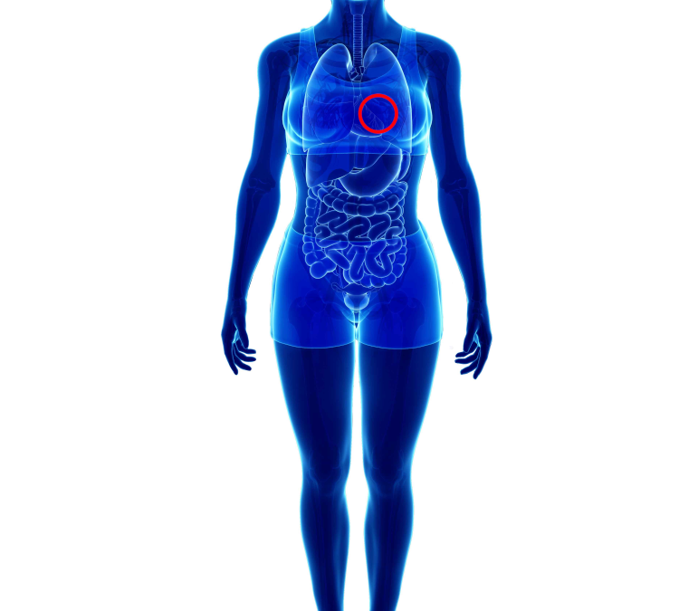 Knitted vein and arteries grafts